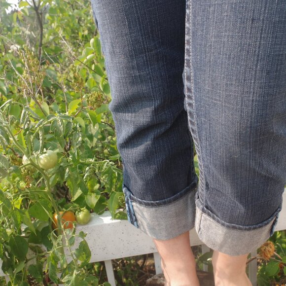 Capris Wide Cuff Bottom Ladies Jeans By Bebe - Picture 4 of 5